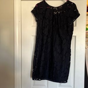 Loft navy lace dress